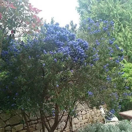 La Maison De La Tortue Bleue Oda ve Kahvaltı 3*